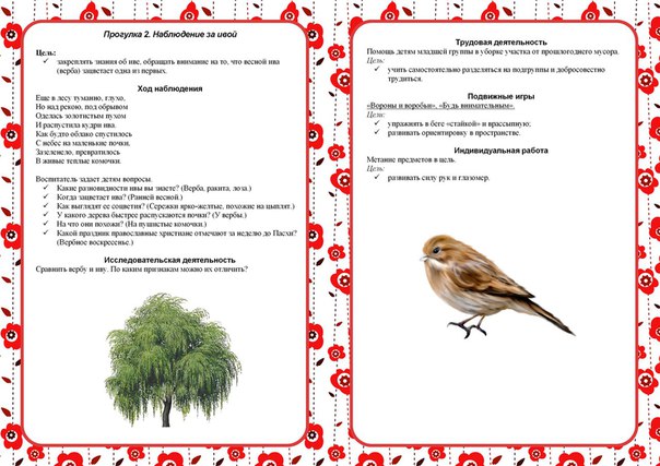  ВЕСЕННИЕ ПРОГУЛКИ КАРТОТЕКА для детского сада