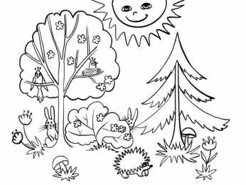 Лес Знакомство с окружающим миром. Раскраски с лесом для детей.
