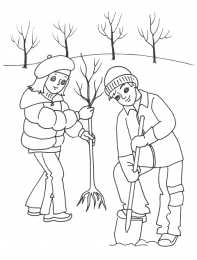 Сажаем деревья Посадка новых деревьев. Раскраски по окружающему миру