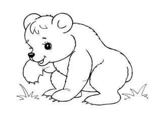 Медвежонок Раскраски с медведями и медвежатами