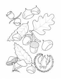 Осень Осенние раскраски. Времена года