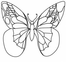 Контуры бабочки Контуры, трафареты, шаблоны бабочек для вырезания аппликаций  и поделок