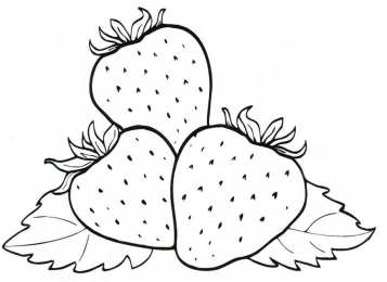 Фрукты и ягоды Детские раскраски для раннего развития детей с фруктами и ягодами 