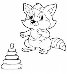 Енот Животное енот