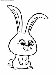 Для девочек Раскраски с животными для девочек