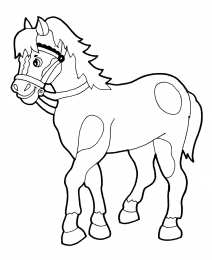 Лошадка Раскраски с лошадкой качалкой и просто маленькими лошадками 