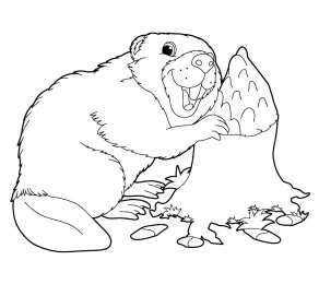 Бобер Животное бобер. Бобры могут строить платины и грызть деревья