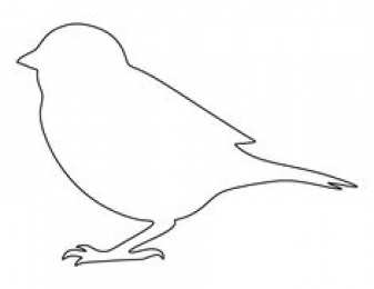 Контуры птицы Скачать раскраски с контурами птиц онлайн.