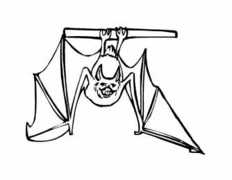 Летучая мышь Летучая мышь которая летает или висит вверх ногами