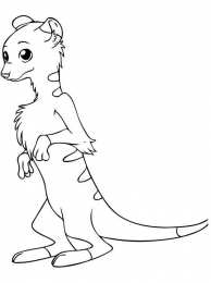 Сурикат Сурикаты стоят на задних лапках