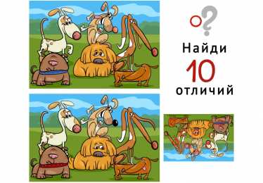 Найти отличия Найди 10 отличий 