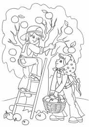 Осень Осенние раскраски. Времена года