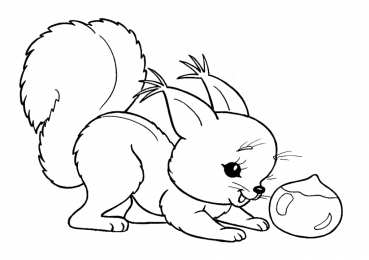 Раскраска Белка Белка Изучаем грызунов