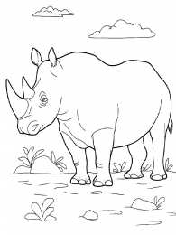 Носорог Животные Африки. Носорог