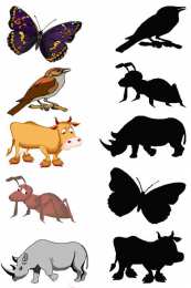 Что к чему подходит Найди соответствие между фигурами