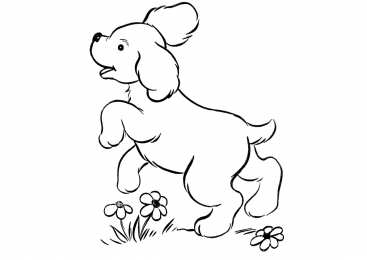 Щенки Раскраски щенки для девочек