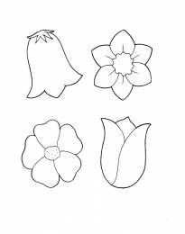 цветок контуры цветов для поделок на летнюю и весеннюю тему