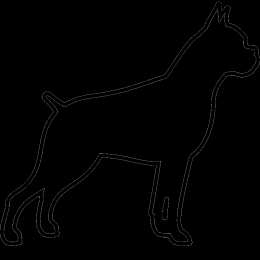 животные контуры животных для поделок на летнюю и весеннюю тему