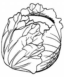 Овощи для детей Раскраски с овощами для детей скачать бесплатно