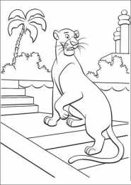 Пантера Животное пантера. Дикая хищная кошка африки