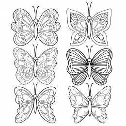 Контуры бабочки Контуры, трафареты, шаблоны бабочек для вырезания аппликаций  и поделок