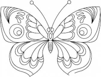 Бабочка красивые бабочки хорошего качества 