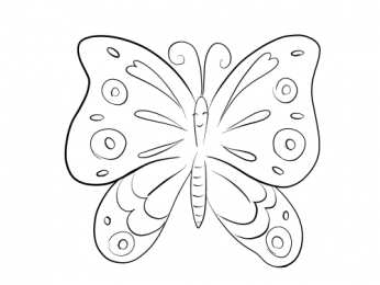 Контуры бабочки Контуры, трафареты, шаблоны бабочек для вырезания аппликаций  и поделок