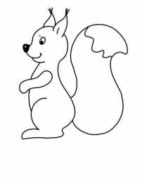 Белка Белка