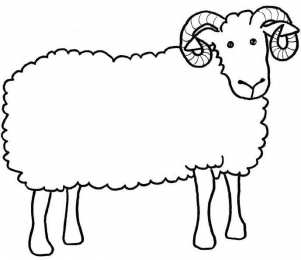Барашек Баран. Раскраски с барашками