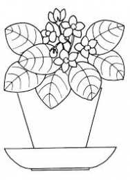 Цветы в горшке Цветы в горшке для раскрашивания