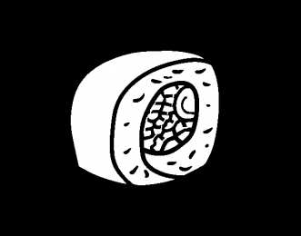 суши суши роллы