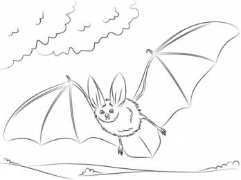 Летучая мышь Летучая мышь которая летает или висит вверх ногами