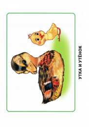 Дети и родители Карточки по окружающему миру. Мамы и дети. Раннее развитие детей.