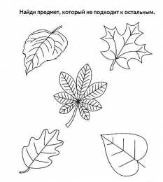 Кто лишний Найди отличающийся предмет. Раннее развитие.