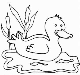Уточка Раскраска уточка для малышей