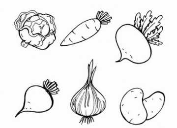 Овощи для детей Раскраски с овощами для детей скачать бесплатно