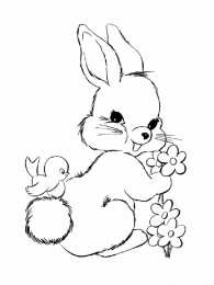 Для девочек Раскраски с животными для девочек