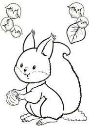 Раскраска Белка Белка Изучаем грызунов