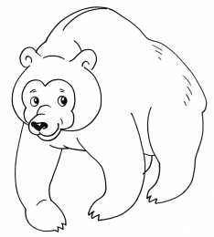Медвежонок Раскраски с медведями и медвежатами