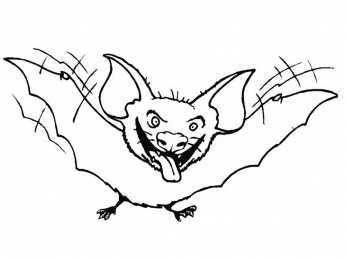 Летучая мышь Летучая мышь которая летает или висит вверх ногами