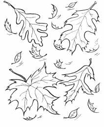 Осень Осенний листопад