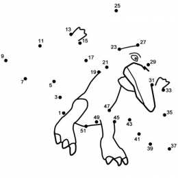 Соедини по цифрам Соедини по цифрам. Изучаем последовательность цифр. Соедини по порядку