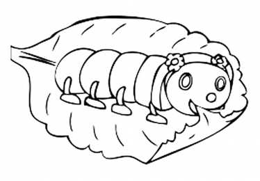 Насекомые Раскраски с насекомыми. Изучаем с ребенком окружающий мир