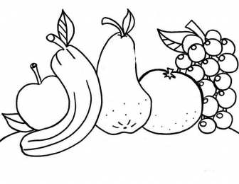 Фрукты и ягоды Детские раскраски для раннего развития детей с фруктами и ягодами 