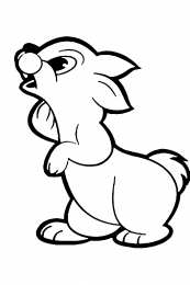 Зайчик Раскраски зайчика для малышей