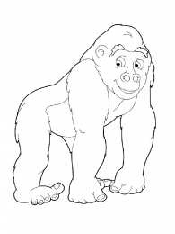 Обезьяна Обезьяны это животные которые едят бананы и лазают по деревьям