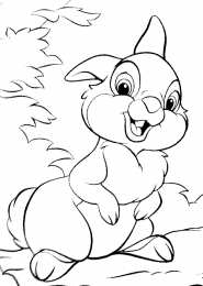 Заяц Раскраски с зайцами для девочек и мальчиков