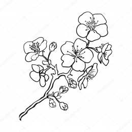 Весна Раскраски с изображением цветущего дерева.