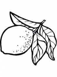 Фрукты и ягоды Детские раскраски для раннего развития детей с фруктами и ягодами 