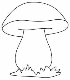 Грибы Раскраски грибов скачать и распечатать онлайн бесплатно